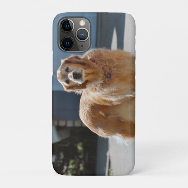 Coques Case-Mate iPhone Soleil doré (Dos)