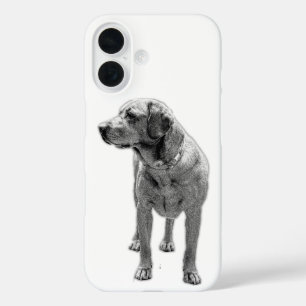 Coques iPhone 16 Solide, armure quotidienne