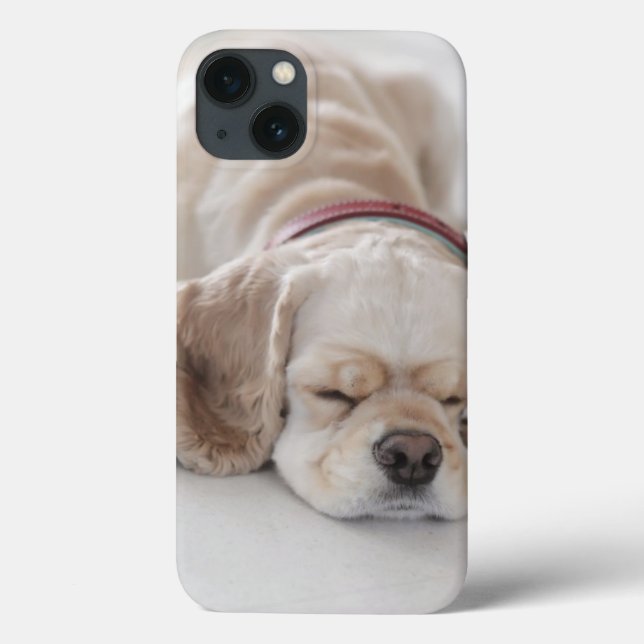 Coques Case-Mate iPhone Sommeil de chien de cocker (Verso)