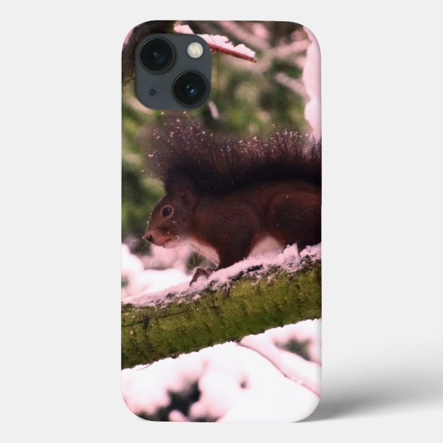 Coques Case-Mate iPhone Squirrel Winter Photo iPhone 6/6, Tough Xtreme (Verso)