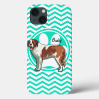 St Bernard ; Aqua Chevron vert