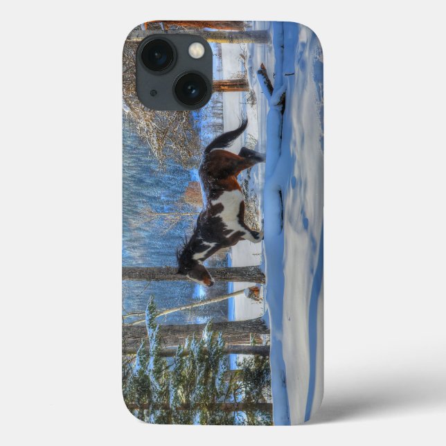 Coques Case-Mate iPhone Stallion Pinto Paint & Neige d'hiver (Verso)
