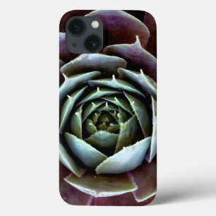 Case-Mate iPhone Case Succulente violette en gros plan