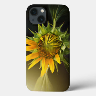 Coques Pour iPhone Sunflower Opening in Full Bloom