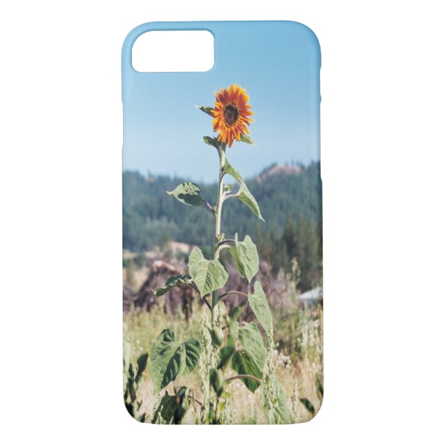 Coques Case-Mate iPhone Sunflowers d'été....... (Dos)