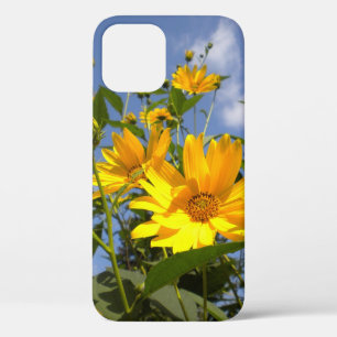 Case-Mate iPhone Case Sunflowers n Sky