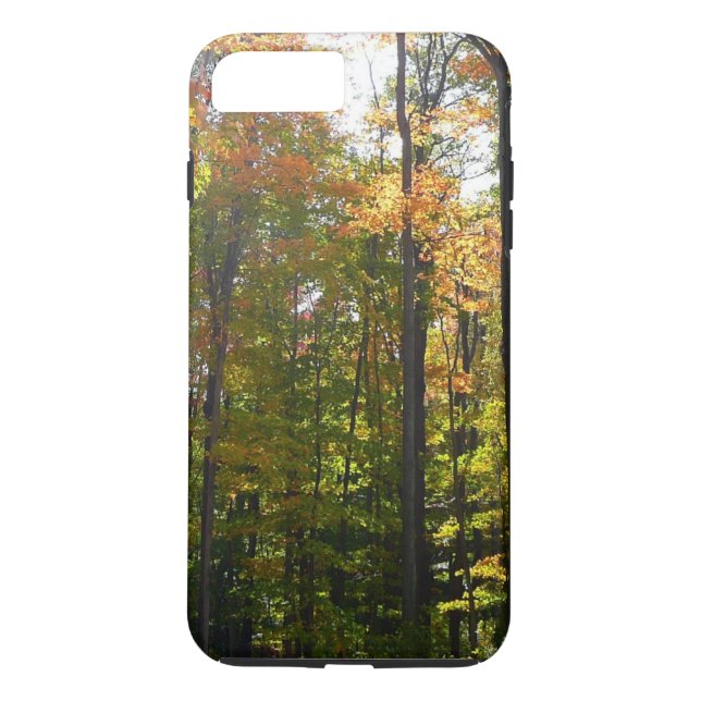 Coques Case-Mate iPhone Sunlit Fall Forest Paysage d'automne (Dos)