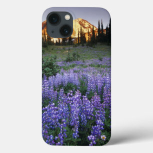 iPhone 13 Coque Sunset over Mt. Adams and a sub-alpine meadow
