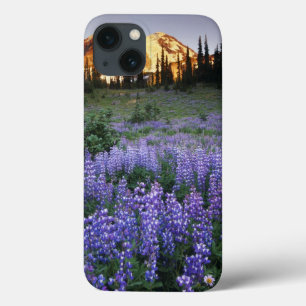 Coques Pour iPhone Sunset over Mt. Adams and a sub-alpine meadow