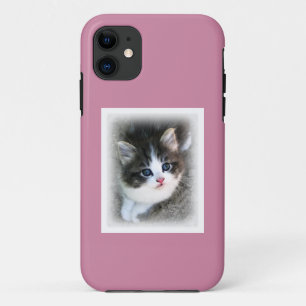 Coque iPhone 11 SUPER CUTE Kitten Portrait Photographie