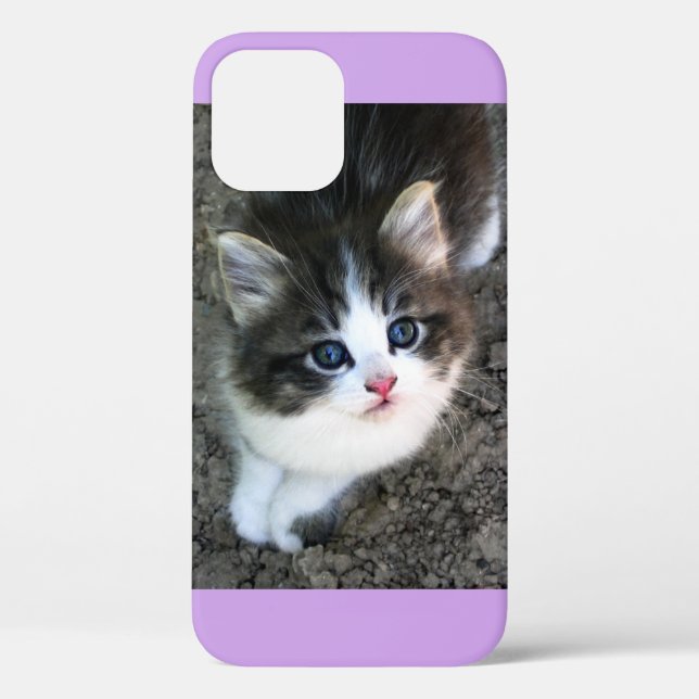 Coques Case-Mate iPhone SUPER CUTE Stray Kitten (Verso)