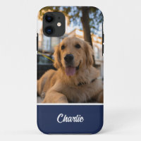 Super Golden Retriever