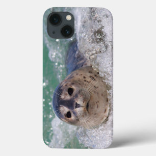 iPhone 13 Case Surfer de bébé phoque