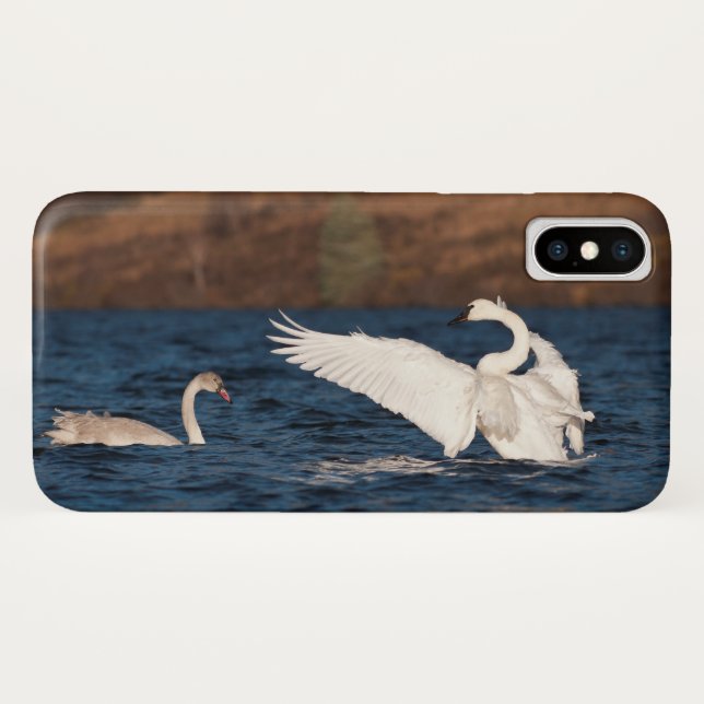 Coques Case-Mate iPhone Swan (Dos (Horizontal))