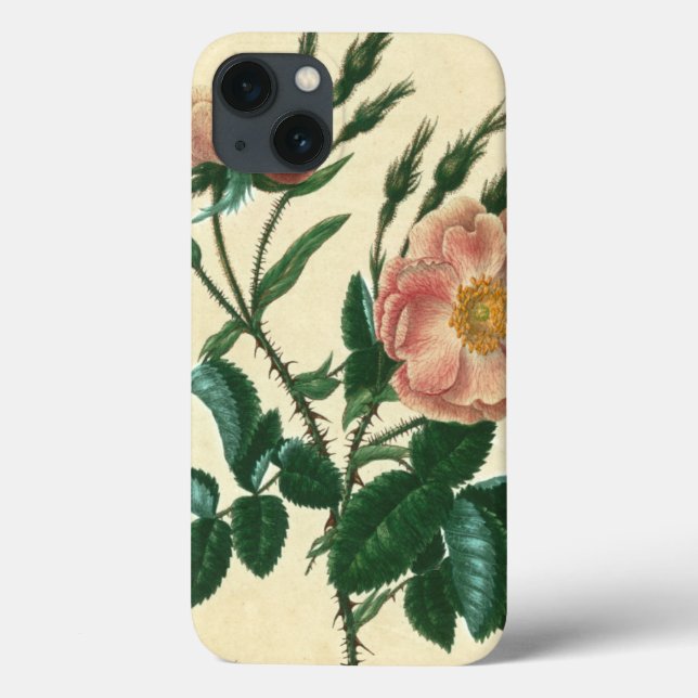 Coques Case-Mate iPhone Sweet Briar Rose (Verso)