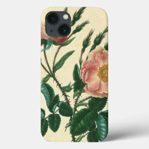 Etui iPhone Case-Mate Sweet Briar Rose