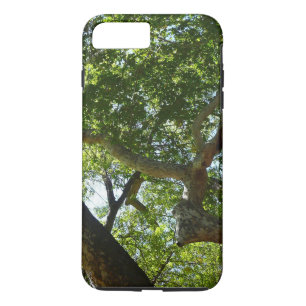 Case-Mate iPhone Case Sycamore Tree Nature verte