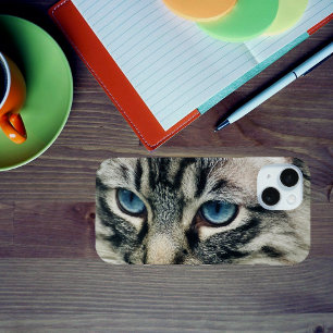 Coque Pour iPhone 15 Tabby Chat aux yeux bleus Gros plan