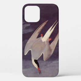 Etui iPhone Case-Mate Terne arctique par John James Audubon, Oiseaux Vin