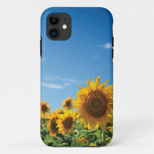Case-Mate iPhone Case Terrain de tournesol