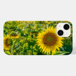 Coque Pour iPhone 14 Terrain de tournesol doré