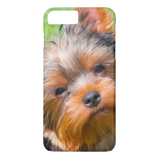 Coques Case-Mate iPhone Terrier looking up (Dos)