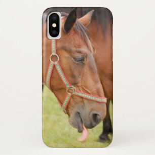 Coque iPhone X Tête de cheval 002