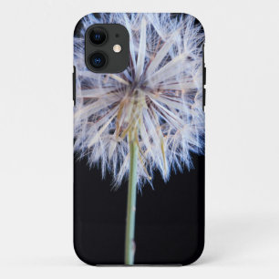 Coque Case-Mate Pour iPhone Tête de semence Dandelion (Taraxacum Officinale)