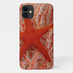 Case-Mate iPhone Case Thaïlande Sea Star Aka Starfish