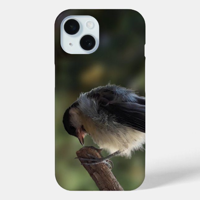 Coques Case-Mate iPhone Tidi my Bird le Parus Major (Verso)