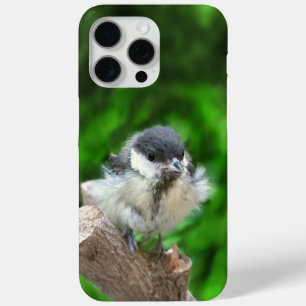 Coque iPhone 15 Pro Max Tidi my Bird le Parus Major