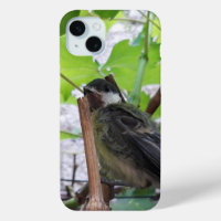 Tidi my Bird le Parus Major