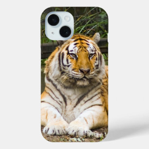 Coque Pour iPhone 15 Tigre
