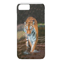 Tigre dans la rivière