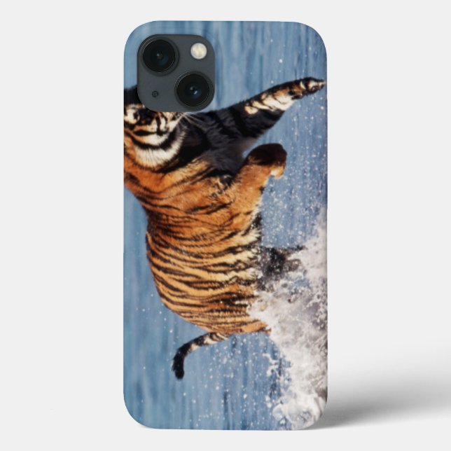 Coques Case-Mate iPhone Tigre du Bengale (Panthera Tigris) (Verso)