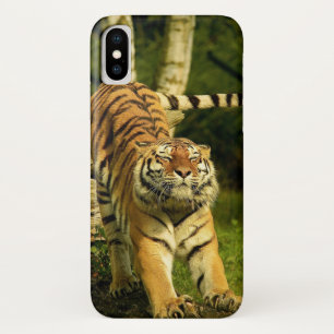 Case-Mate iPhone Case Tigre Étirement Bon Matin