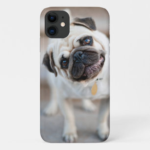 Case-Mate iPhone Case Tillette Carlin