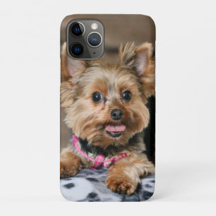 Case-Mate iPhone Case Tiny Dynamo