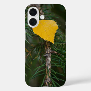Coques iPhone 16 Tombe Jaune Aspen Quitter Photographie