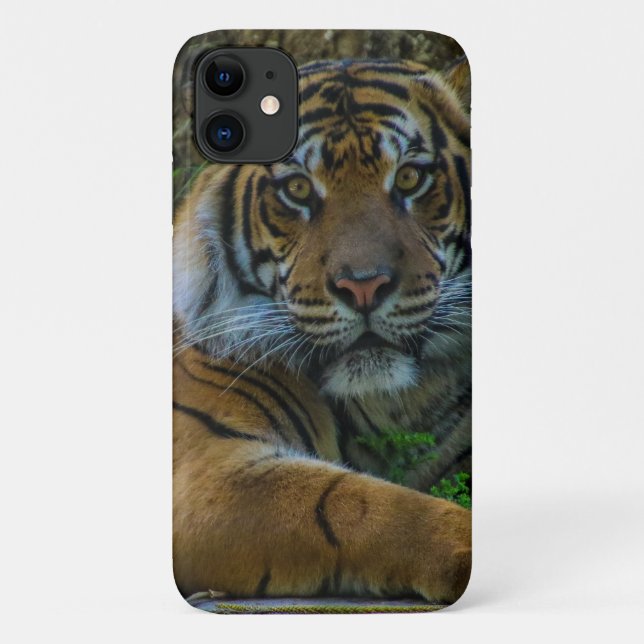 Coques Case-Mate iPhone tony (Dos)