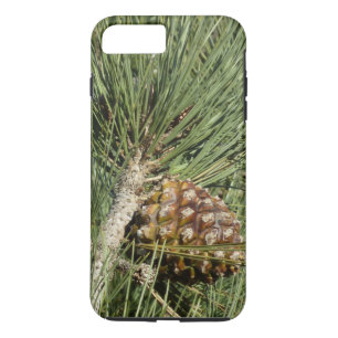 Coque Case-Mate Pour iPhone Torrey Pine Closeup California Botanical