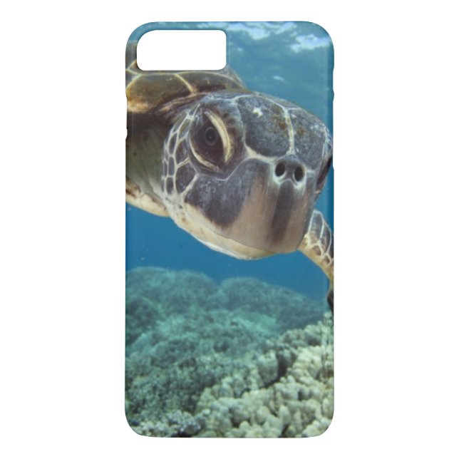 Coques Case-Mate iPhone Tortue de mer verte hawaïenne (Dos)