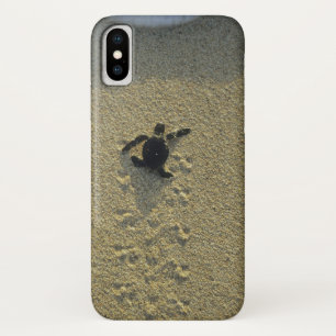 Etui iPhone Case-Mate Tortue verte, (Chelonia mydas), nouveau-né