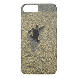 Coque iPhone 7 Plus Tortue verte, (Chelonia mydas), nouveau-né