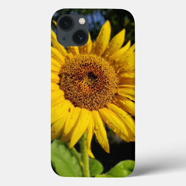 Coques Case-Mate iPhone Tournesol (Verso)
