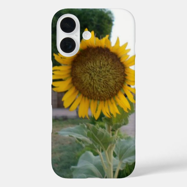 Coques Case-Mate iPhone Tournesol (Verso)