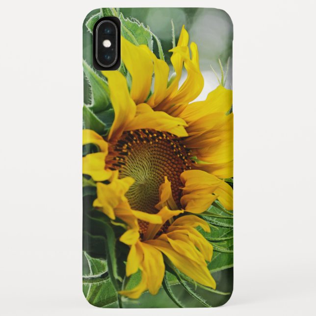 Coques Case-Mate iPhone Tournesol (Dos)
