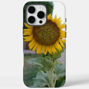 Coques iPhone 16 Pro Max Tournesol Naturel à Couper le Souffle   Rayonnemen