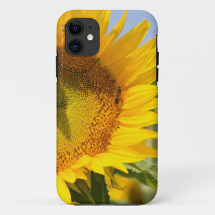 Etui iPhone Case-Mate Tournesols glorieux !