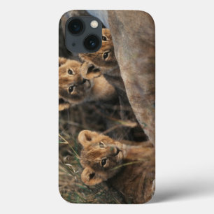 Case-Mate iPhone Case Trio de vieux se reposer de six semaines de petits